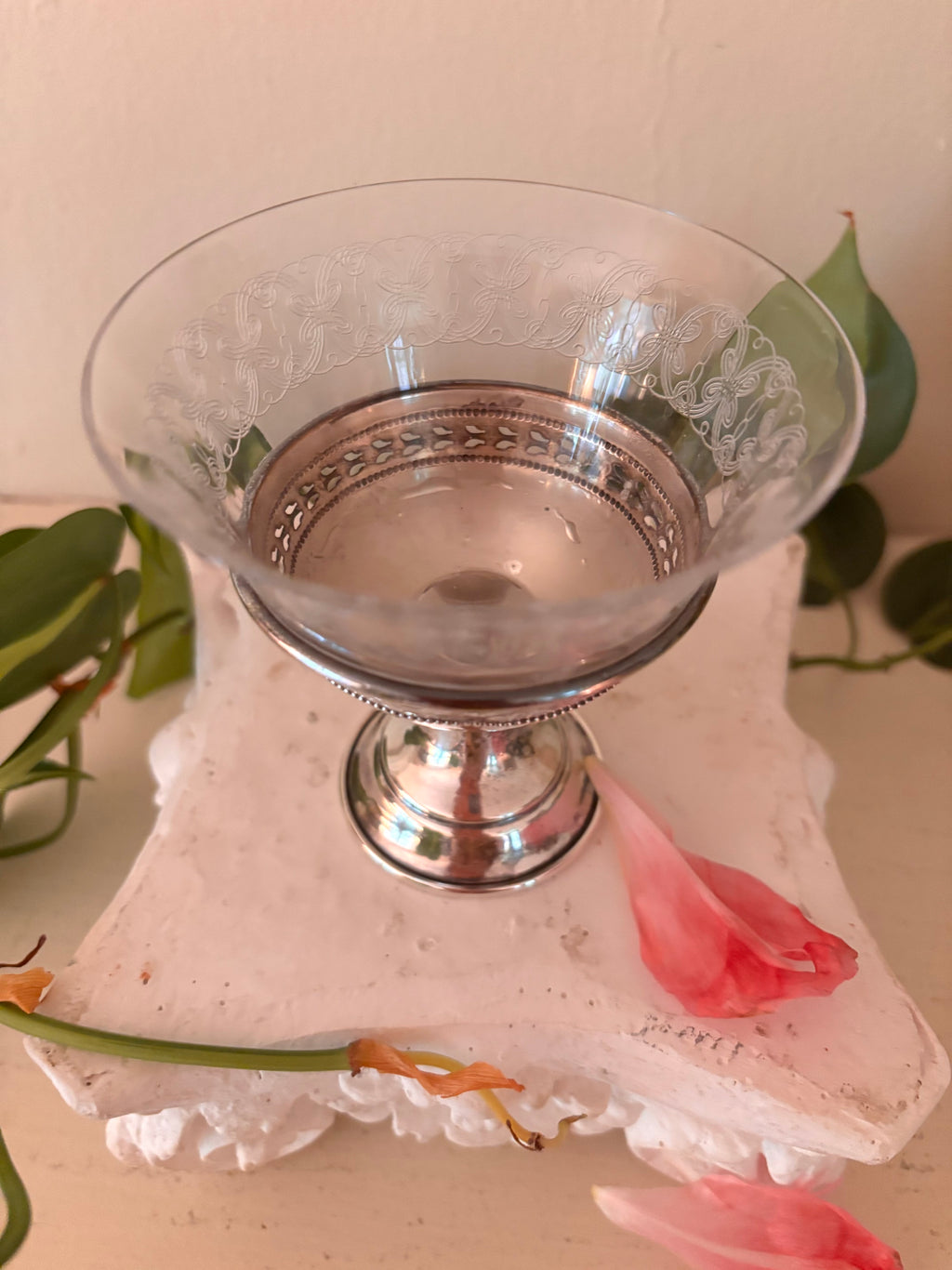 Top-down view of etched glass compote bowl showing continuous scroll and foliate etching pattern around the rim.
