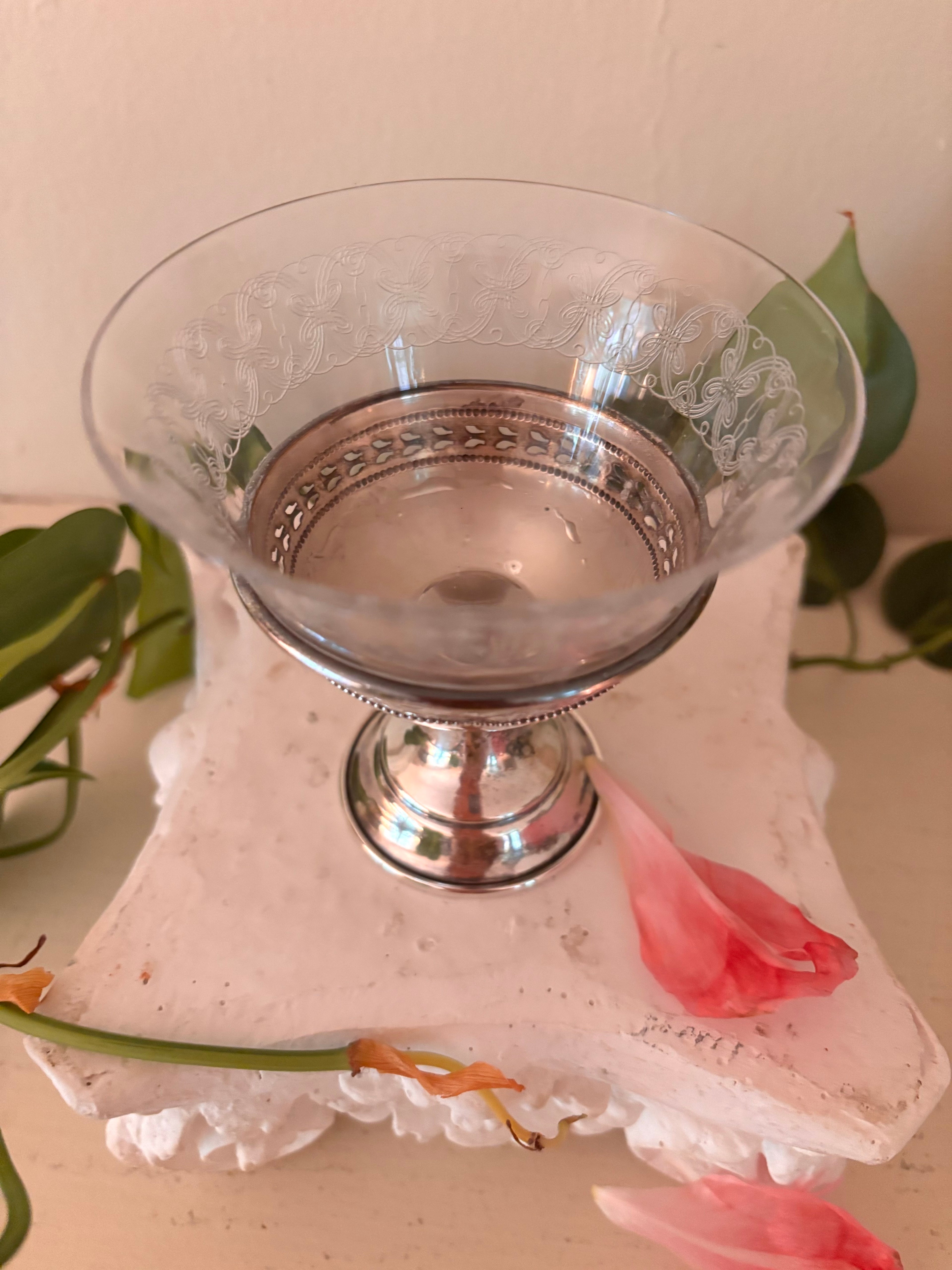 Top-down view of etched glass compote bowl showing continuous scroll and foliate etching pattern around the rim.