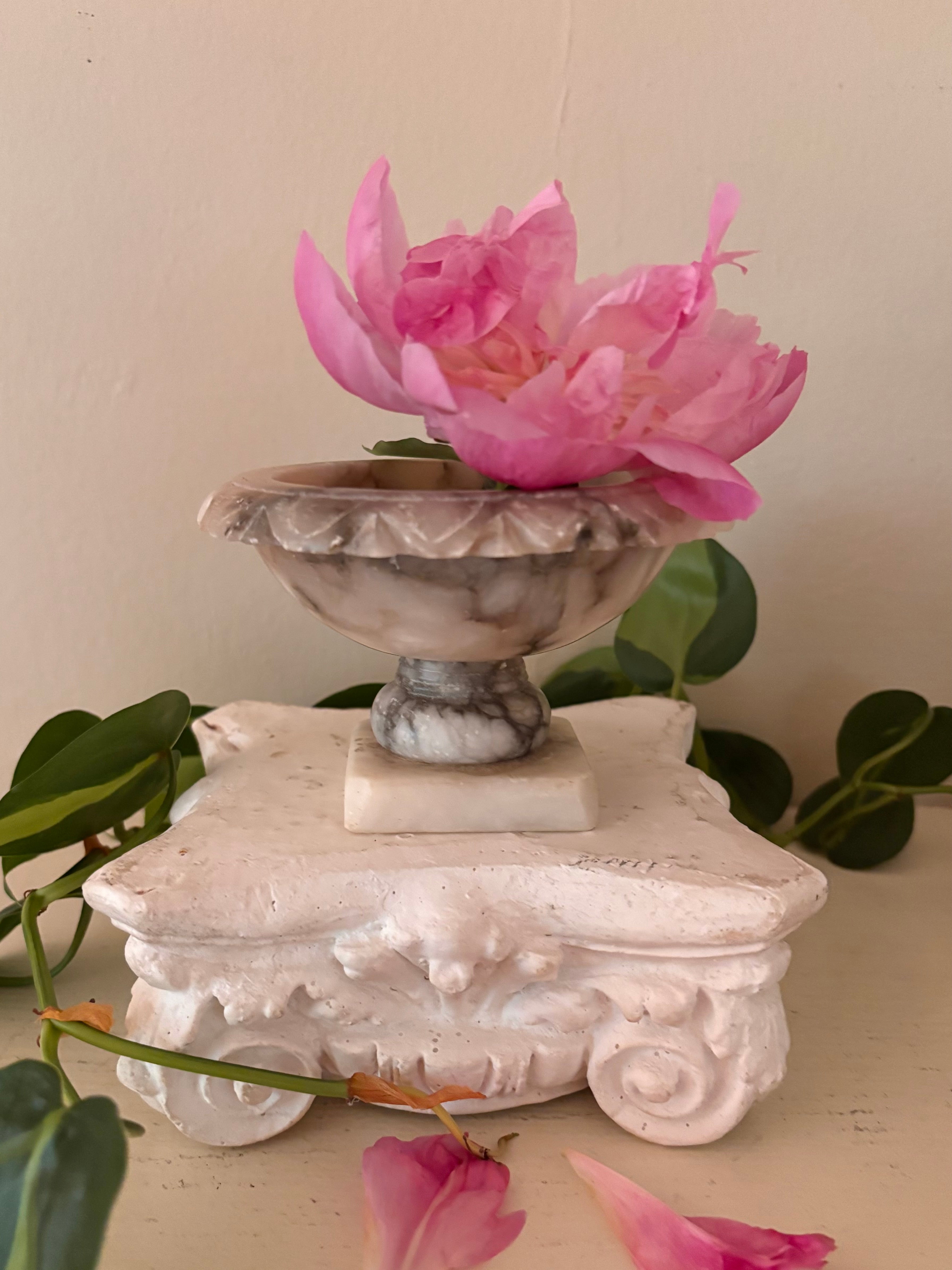 Marble footed compote with carved petal rim, cream and charcoal grey veined stone, short turned pedestal.