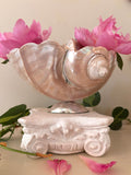 Large polished pearlescent shell on silver pedestal, iridescent blush pink and cream tones, spiral form to front.