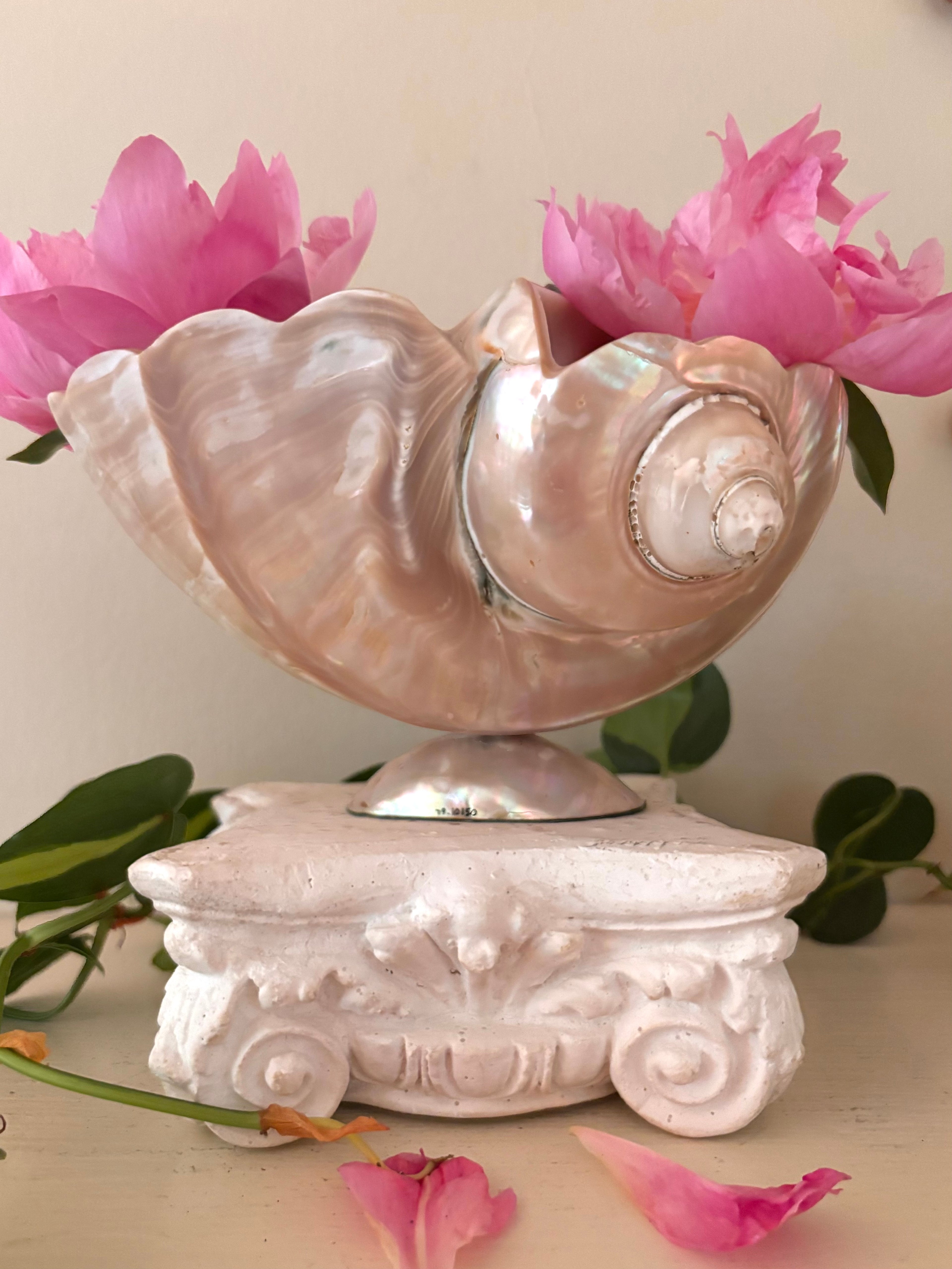 Large polished pearlescent shell on silver pedestal, iridescent blush pink and cream tones, spiral form to front.