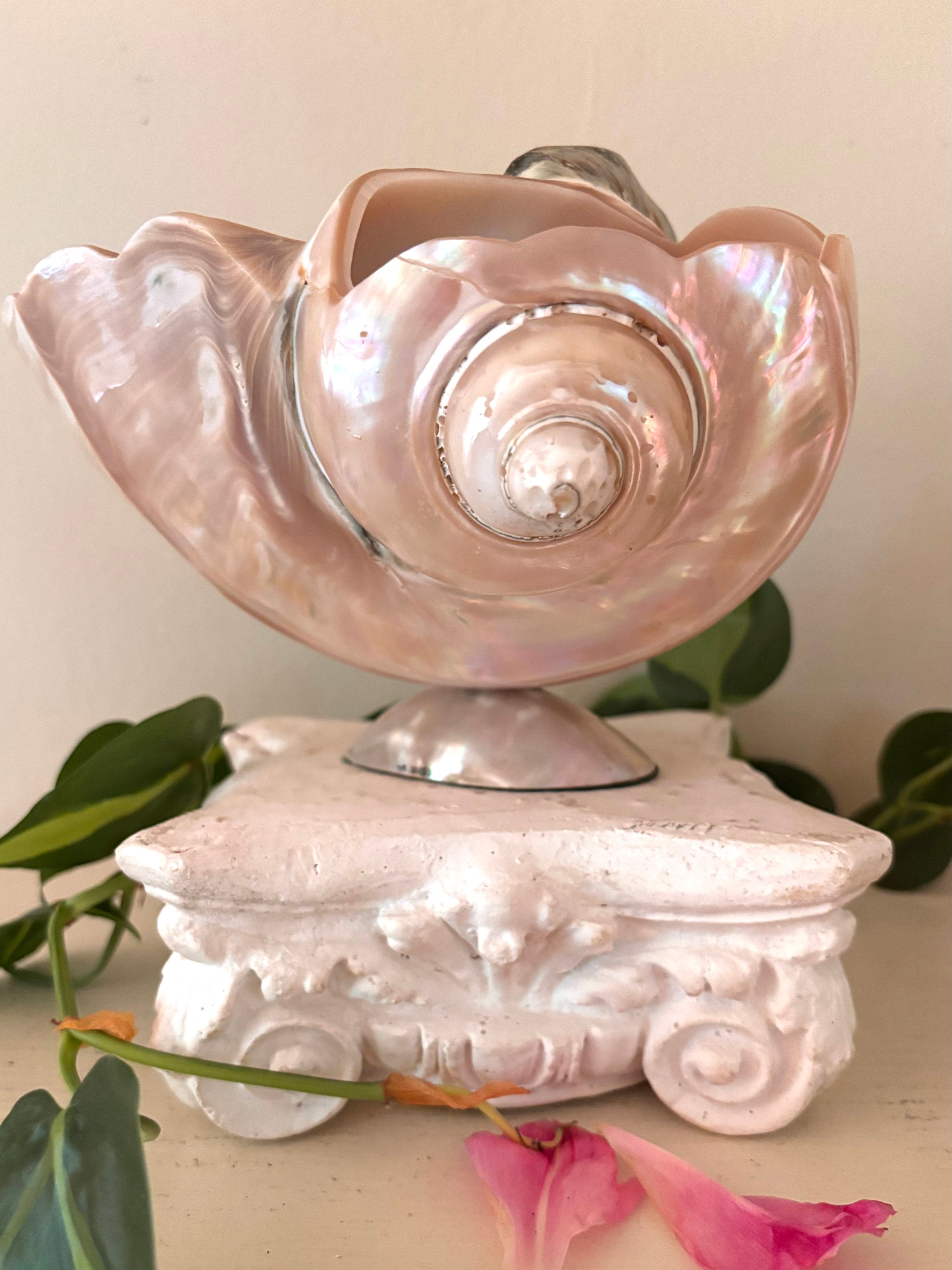Large polished pearlescent shell on silver pedestal, iridescent blush pink and cream tones, spiral form to front.