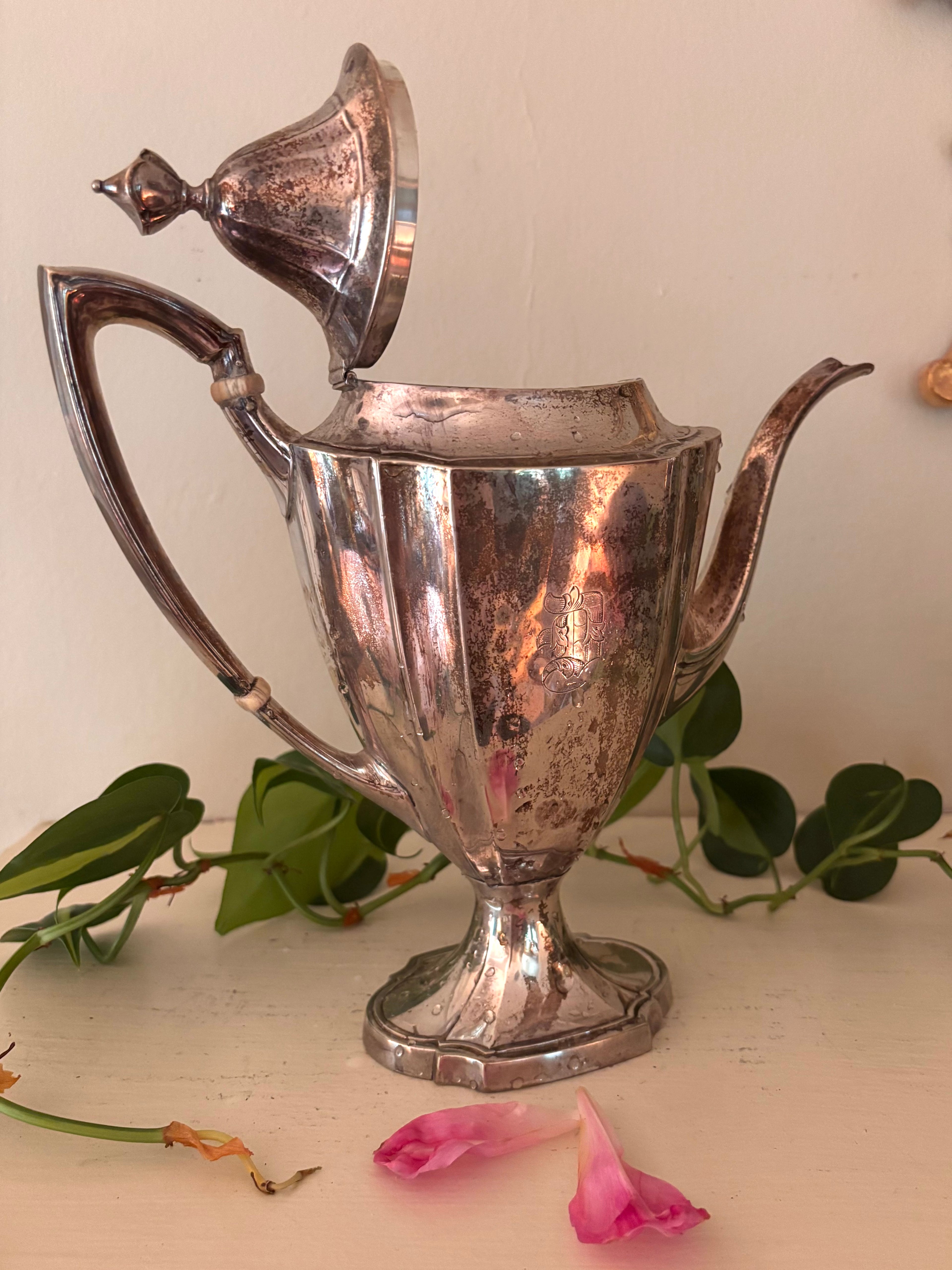 Silver-plate coffee pot with paneled body, long curved spout, and curved handle with bone insulators.
