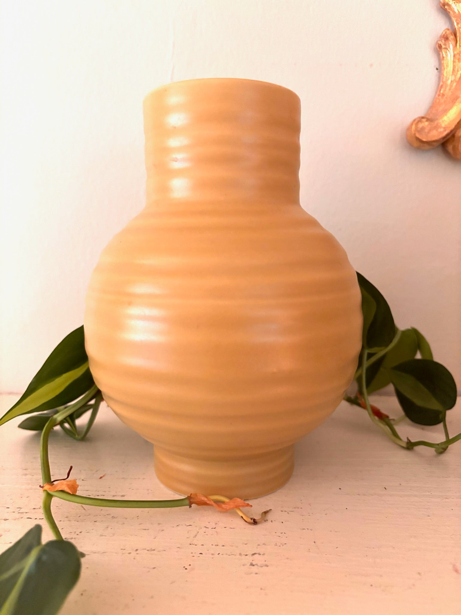 Hawkins New York peach ceramic ribbed vase, full view without orb, showing round body and narrow neck.