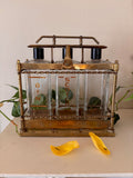Antique brass tantalus liquor caddy with three glass decanters stenciled in gold with spirit names including Gin and Scotch, with twisted rope rail detailing, turned corner columns, and Bakelite stoppers